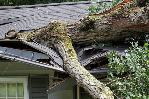 Storm Remediation in Snellville
