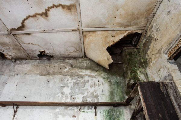 Water Damage Service in Snellville