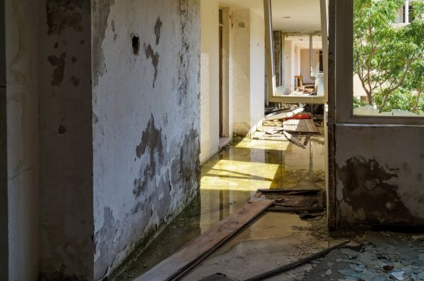 Cost of Water Removal Service in Snellville