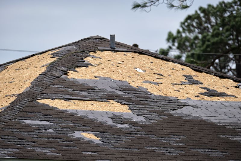 Roof Restoration