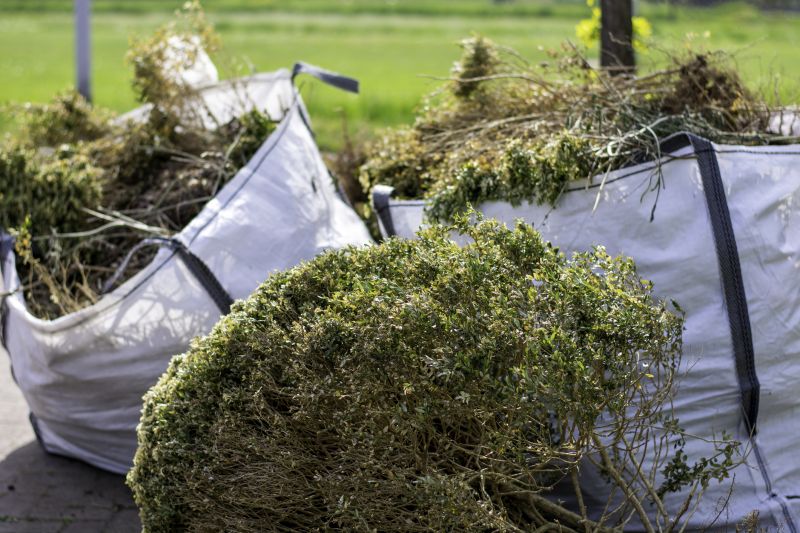 Landscaping and Debris Removal Services
